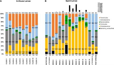 Management Practices Affecting Lesser Mealworm Larvae (Alphitobius diaperinus) Associated Microbial Community in a Broiler House and After Relocating With the Litter Into Pastureland